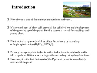 Introduction
❑ Phosphorus is one of the major plant nutrients in the soil.
❑ It’s a constituent of plant cell, essential for cell division and development
of the growing tip of the plant. For this reason it is vital for seedlings and
young plant.
❑ Plant root take up nearly all P as either the primary or secondary
orthophosphate anion (H2PO4
-, HPO4
-2).
❑ Primary orthophosphate is the form that is dominant in acid soils and is
taken up about 10 times as reading as the secondary orthophosphate form.
❑ However, it is the fact that most of the P present in soil is immediately
unavailable to plant.