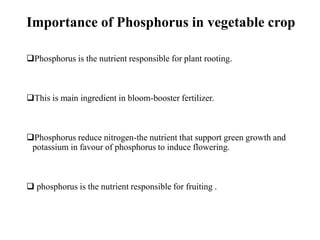 Importance of Phosphorus in vegetable crop
❑Phosphorus is the nutrient responsible for plant rooting.
❑This is main ingredient in bloom-booster fertilizer.
❑Phosphorus reduce nitrogen-the nutrient that support green growth and
potassium in favour of phosphorus to induce flowering.
❑ phosphorus is the nutrient responsible for fruiting .