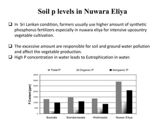 Soil p levels in Nuwara Eliya
❑ In Sri Lankan condition, farmers usually use higher amount of synthetic
phosphorus fertilizers especially in nuwara eliya for intensive upcountry
vegetable cultivation.
❑ The excessive amount are responsible for soil and ground water pollution
and affect the vegetable production.
❑ High P concentration in water leads to Eutrophication in water.