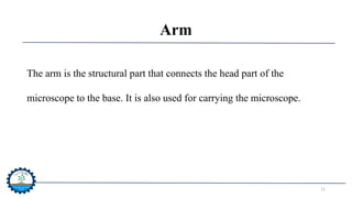 Arm Micrograph Group 01 presentation.pptx introduction to microscopy | PPTX