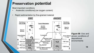 14
Preservation potential
Most important conditions
• Anaerobic conditions(Low oxygen content)
• Rapid sedimentation by fine-grained material
Figure 08: Oxic and
anoxic conditions of
depositional
environments
 