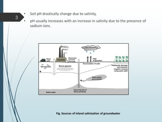 • Soil pH drastically change due to salinity,
• pH usually increases with an increase in salinity due to the presence of
sodium ions.
3
Fig. Sources of inland salinization of groundwater
 