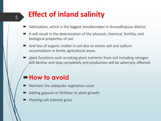 Effect of inland salinity
 Salinization, which is the biggest troublemaker in Anuradhapura district.
 It will result in the deterioration of the physical, chemical, fertility, and
biological properties of soil
 And loss of organic matter in soil due to excess salt and sodium
accumulation in fertile agricultural areas.
 plant functions such as taking plant nutrients from soil including nitrogen
will decline and stop completely and production will be adversely affected.
.
How to avoid
 Maintain the adequate vegetation cover
 Adding gypsum or fertilizer to plant growth
 Planting salt tolerant grass
5
 