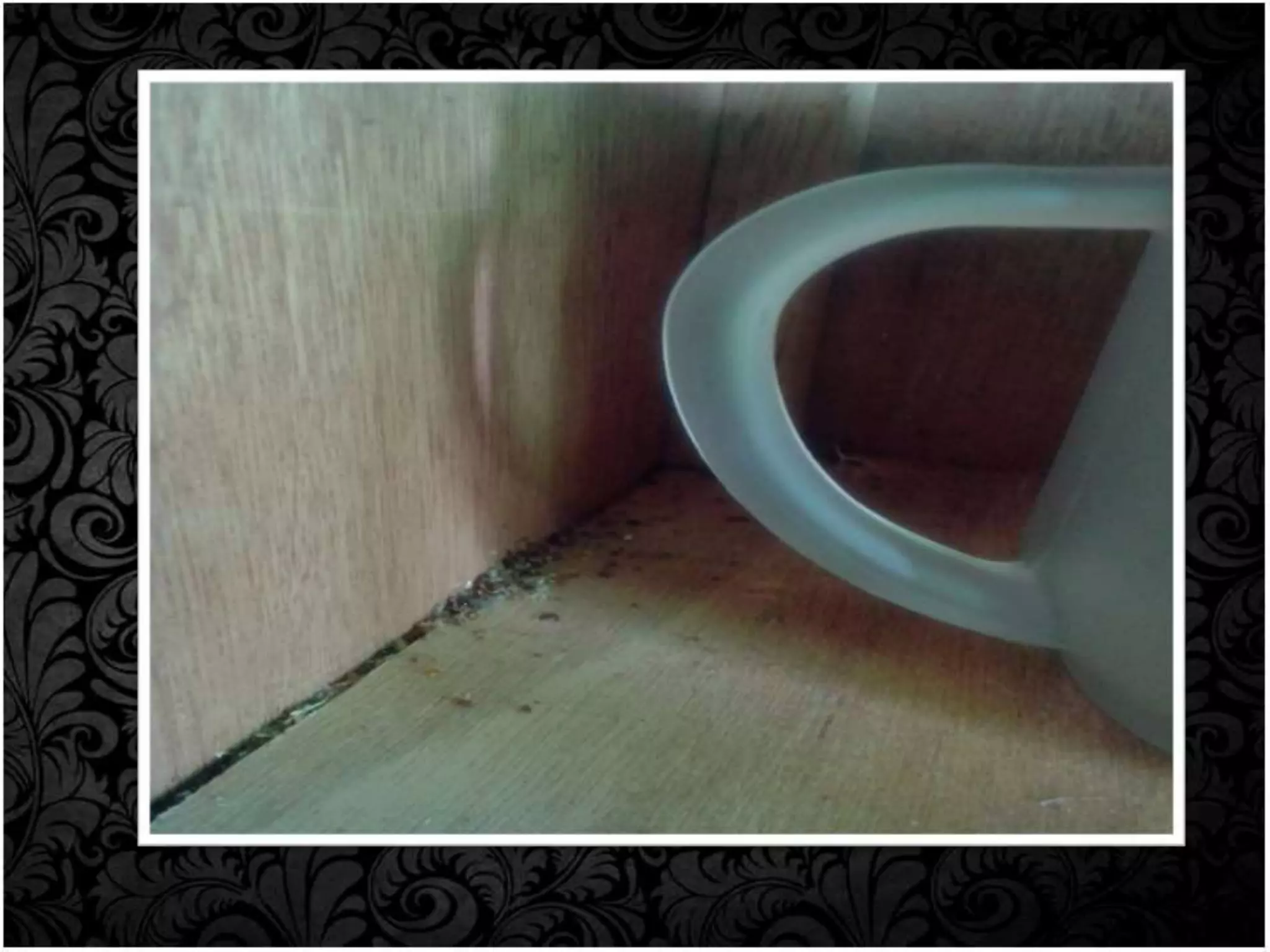 Group 1 Proper Storage of Tools & Equipment PPT