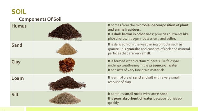soil and soil components Figure 1 soil is composed of a matrix of minerals, organic matter, air, and water each component is important for supporting plant growth, microbial communities, and. soil and soil components Figure 1 soil is composed of a matrix of minerals, organic matter, air, and water each component is important for supporting plant growth, microbial communities, and.