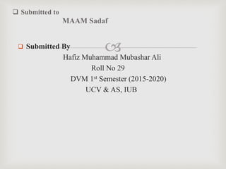  Submitted By
Hafiz Muhammad Mubashar Ali
Roll No 29
DVM 1st Semester (2015-2020)
UCV & AS, IUB
 Submitted to
MAAM Sadaf
 