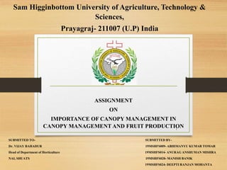 Sam Higginbottom University of Agriculture, Technology &
Sciences,
Prayagraj- 211007 (U.P) India
ASSIGNMENT
ON
IMPORTANCE OF CANOPY MANAGEMENT IN
CANOPY MANAGEMENT AND FRUIT PRODUCTION
SUBMITTED TO- SUBMITTED BY-
Dr. VIJAY BAHADUR 19MSHFS009- ABHIMANYU KUMAR TOMAR
Head of Department of Horticulture 19MSHFS014- ANURAG ANSHUMAN MISHRA
NAI, SHUATS 19MSHFS020- MANISH BANIK
19MSHFS024- DEEPTI RANJAN MOHANTA
1
 
