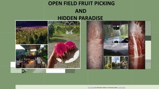 This Photo by Unknown Author is licensed under CC BY-SA-NC
OPEN FIELD FRUIT PICKING
AND
HIDDEN PARADISE
 