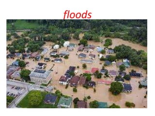 floods
 