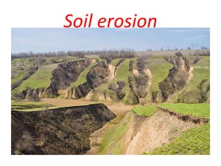 Soil erosion
 