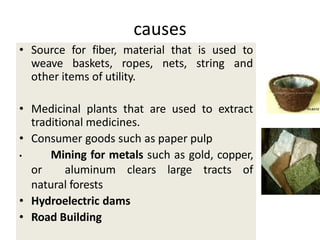 causes
• Source for fiber, material that is used to
weave baskets, ropes, nets, string and
other items of utility.
• Medicinal plants that are used to extract
traditional medicines.
• Consumer goods such as paper pulp
• Mining for metals such as gold, copper,
or aluminum clears large tracts of
natural forests
• Hydroelectric dams
• Road Building
 