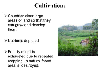 Cultivation:
 Countries clear large
areas of land so that they
can grow and develop
them.
 Nutrients depleted
 Fertility of soil is
exhausted due to repeated
cropping, a natural forest
area is destroyed.
 