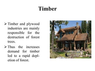 Timber
 Timber and plywood
industries are mainly
responsible for the
destruction of forest
trees.
 Thus the increases
demand for timber
led to a rapid depl-
etion of forest.
 