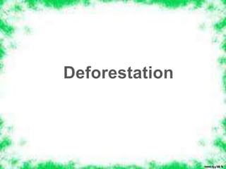 Deforestation
 