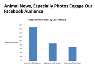 Animal News, Especially Photos Engage Our
Facebook Audience
 