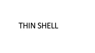 THIN SHELL
 