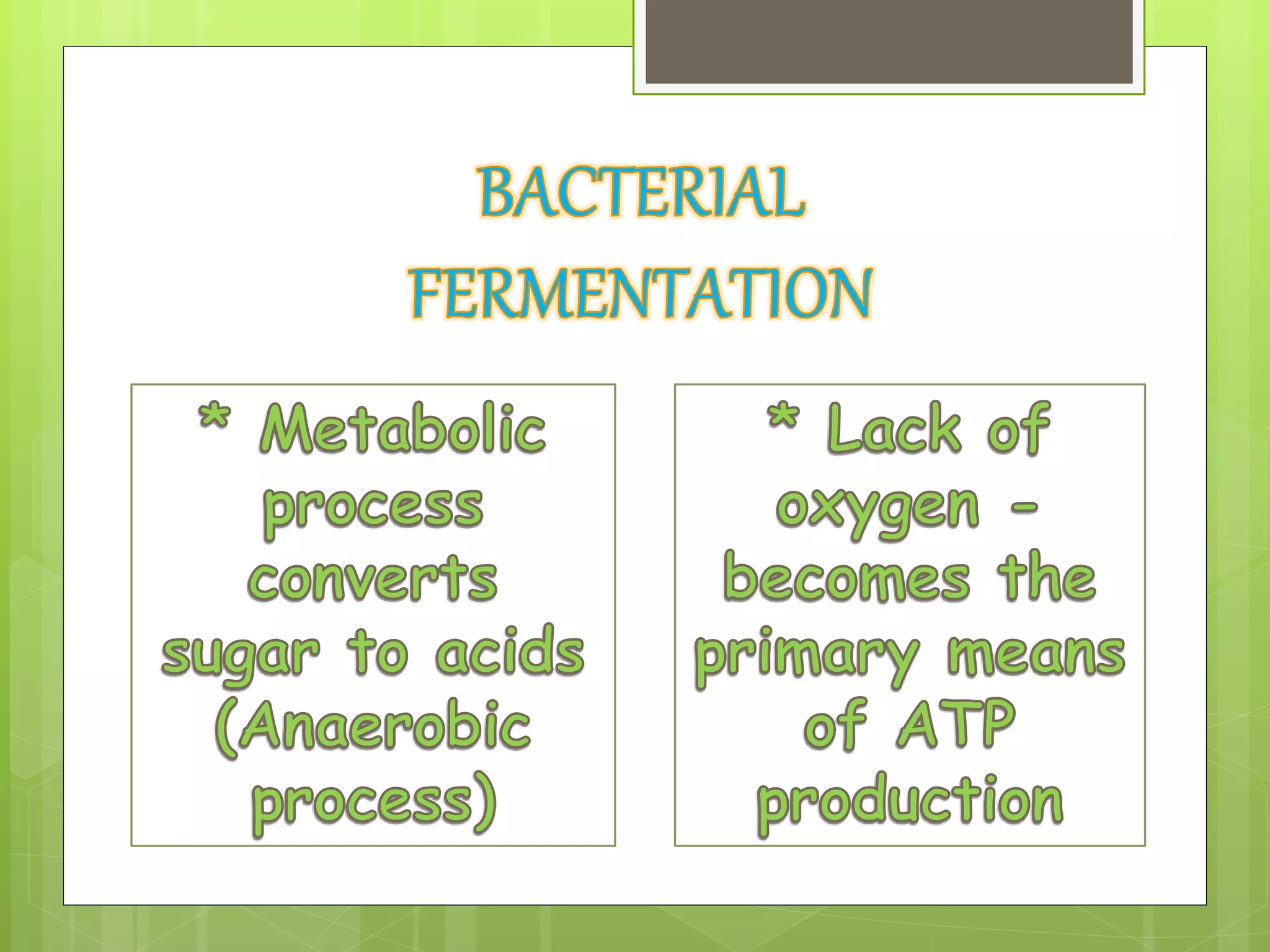 (Group10)bacterial fermentation PPT