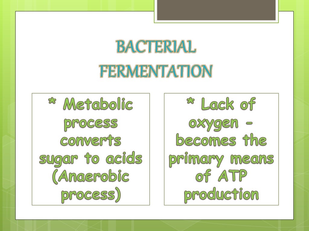 (Group10)bacterial fermentation