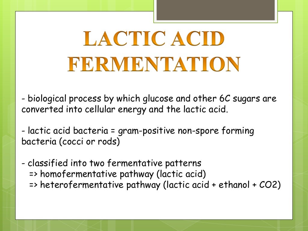 (Group10)bacterial fermentation