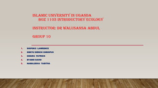 Group 10 Ecology Presentation-2.pdf ecosystem Notes | PDF