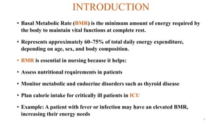 GROUP 10 NSC307 Basal Metabolic Rate BMR | PDF