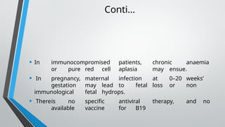 Microbiology pavoviruses GROUP 10 PPT final.pptx