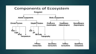terrestrial ecosystem - definition, types, examples -... A brief presentation on Terrestrial Ecosystem | PPTX