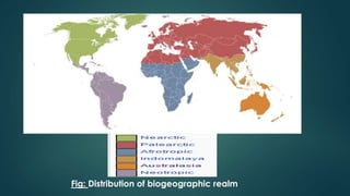 A brief presentation on Terrestrial Ecosystem | PPTX