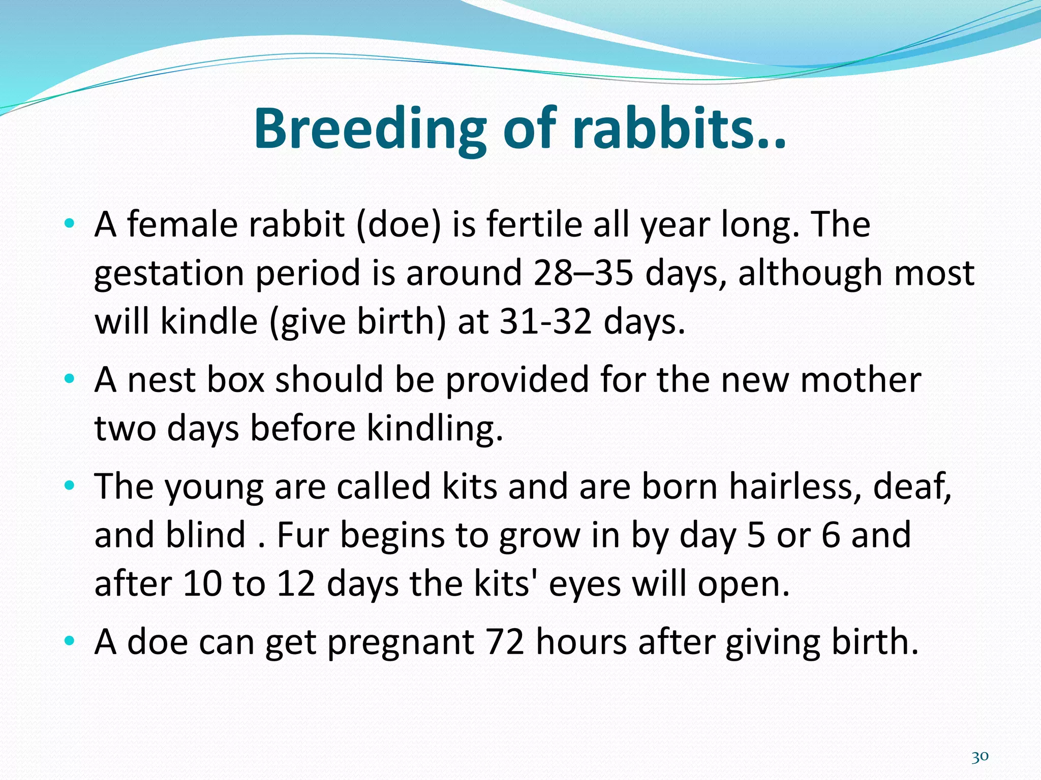 Different Breeds Of Domesticated Farm Animals And Their Characteristics ...