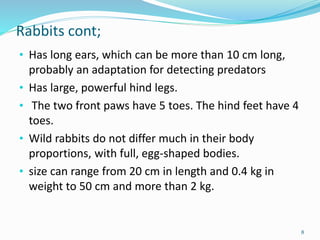 Different Breeds Of Domesticated Farm Animals And Their Characteristics ...