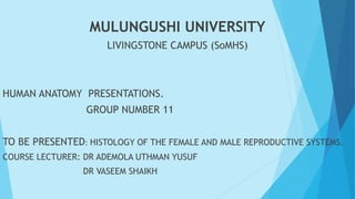 MULUNGUSHI UNIVERSITY
LIVINGSTONE CAMPUS (SoMHS)
HUMAN ANATOMY PRESENTATIONS.
GROUP NUMBER 11
TO BE PRESENTED: HISTOLOGY OF THE FEMALE AND MALE REPRODUCTIVE SYSTEMS.
COURSE LECTURER: DR ADEMOLA UTHMAN YUSUF
DR VASEEM SHAIKH
 