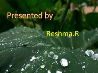 Reshma.R
 