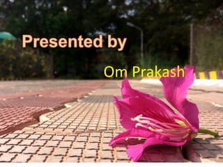 Om Prakash
 