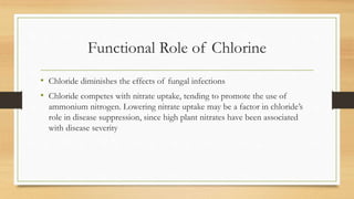 Role of Chlorine in plants | PPTX