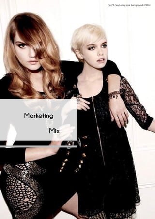 Mix
Fig 22. Marketing mix background (2016)
Marketing
 