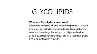 GLYCOLIPIDS
What are Glycolipids made from?
Glycolipid consists of two main components- a lipid
and a carbohydrate. Glycolipids are formed by the
covalent bonding of a mono- or oligosaccharide
group attached to a sphingolipid or a glycerol group
and one or two fatty acids.
 