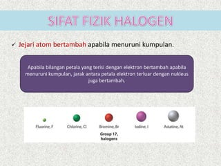  Jejari atom bertambah apabila menuruni kumpulan.
Apabila bilangan petala yang terisi dengan elektron bertambah apabila
menuruni kumpulan, jarak antara petala elektron terluar dengan nukleus
juga bertambah.
 