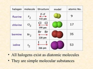 Group 17 group VII elements (halogen).ppt