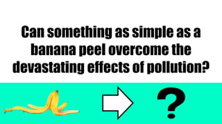 Can something as simple as a
banana peel overcome the
devastating effects of pollution?
 