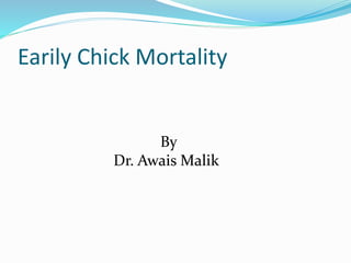 Earily Chick Mortality
By
Dr. Awais Malik
 