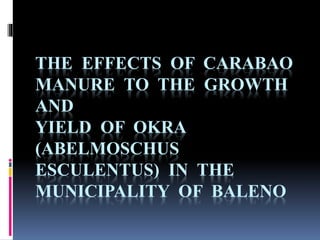 THE EFFECTS OF CARABAO
MANURE TO THE GROWTH
AND
YIELD OF OKRA
(ABELMOSCHUS
ESCULENTUS) IN THE
MUNICIPALITY OF BALENO
 