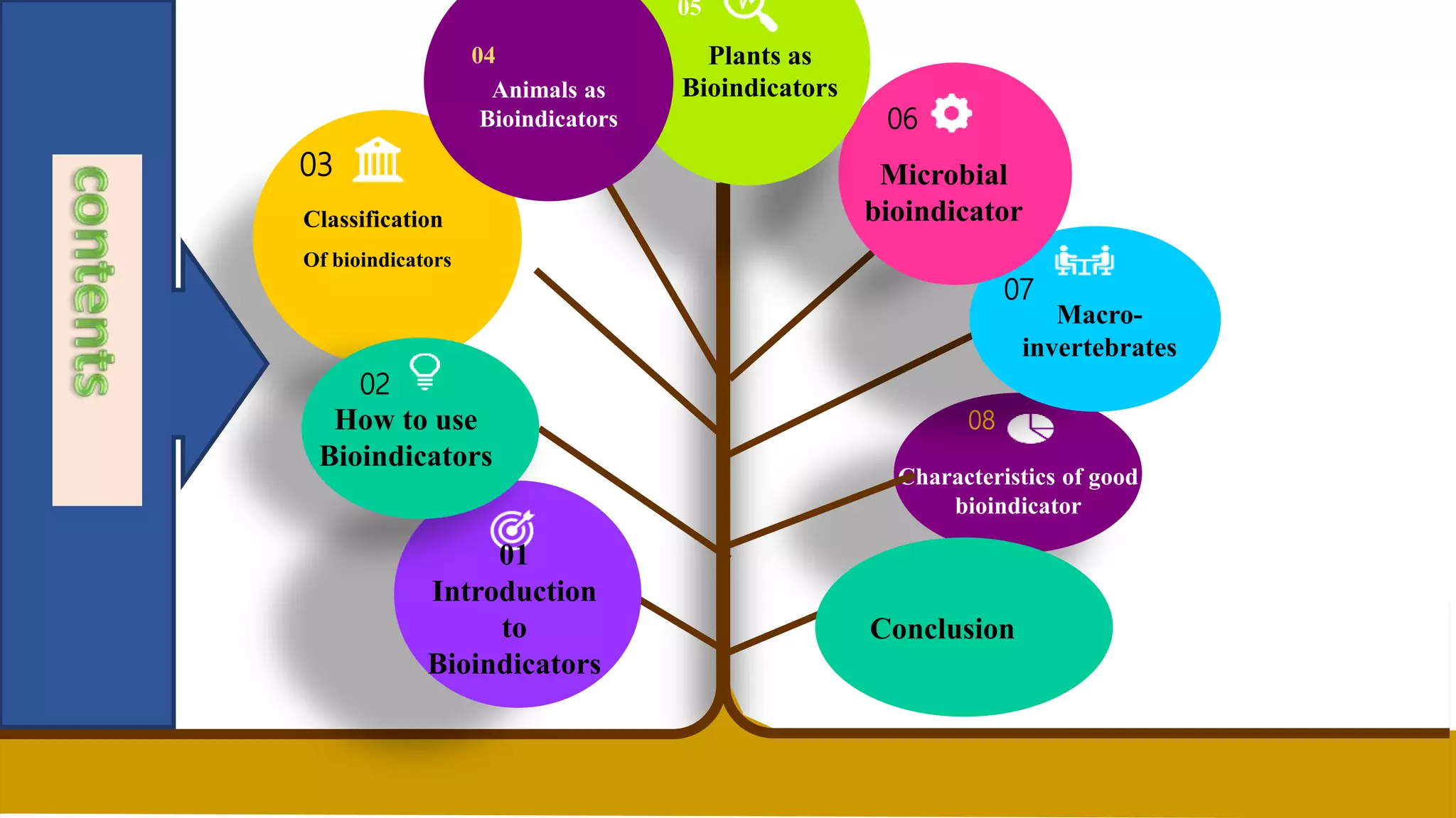 01
Introduction
to
Bioindicators
08
Characteristics of good
bioindicator
07
Macro-
invertebrates
06
Microbial
bioindicator
05
Plants as
Bioindicators
Classification
Of bioindicators
03
02
How to use
Bioindicators
04
Animals as
Bioindicators
Conclusion
 