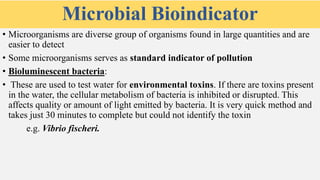 Bioindicators | PPTX