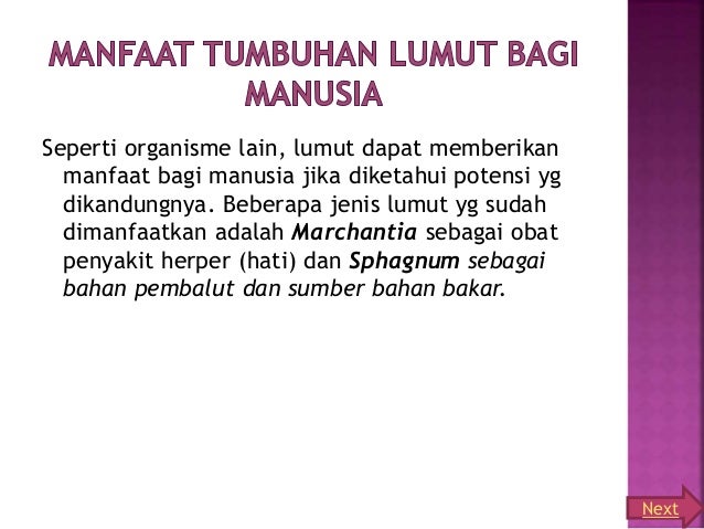 Group 1 briophyta