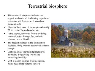 Terrestrial biosphere
 The terrestrial biosphere includes the
organic carbon in all land-living organisms,
both alive and dead, as well as carbon
stored in soils
 Plants on land have taken up approximately
25 percent of the carbon dioxide
 In the tropics, however, forests are being
removed, often through fire, and this
releases carbon dioxide
 The biggest changes in the land carbon
cycle are likely to come because of climate
change
 Carbon dioxide increases temperatures,
extending the growing season and
increasing humidity
 With a longer, warmer growing season,
plants need more water to survive
 