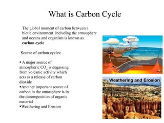 What is Carbon Cycle
The global moment of carbon between a
biotic environment including the atmosphere
and oceans and organism is known as
carbon cycle
Source of carbon cycles:
 A major source of
atmospheric CO2 is degassing
from volcanic activity which
acts as a release of carbon
dioxide
Another important source of
carbon in the atmosphere is in
the decomposition of organic
material
Weathering and Erosion
 