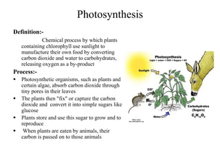 Photosynthesis
Definition:-
Chemical process by which plants
containing chlorophyll use sunlight to
manufacture their own food by converting
carbon dioxide and water to carbohydrates,
releasing oxygen as a by-product
Process:-
 Photosynthetic organisms, such as plants and
certain algae, absorb carbon dioxide through
tiny pores in their leaves
 The plants then "fix" or capture the carbon
dioxide and convert it into simple sugars like
glucose
 Plants store and use this sugar to grow and to
reproduce
 When plants are eaten by animals, their
carbon is passed on to those animals
 