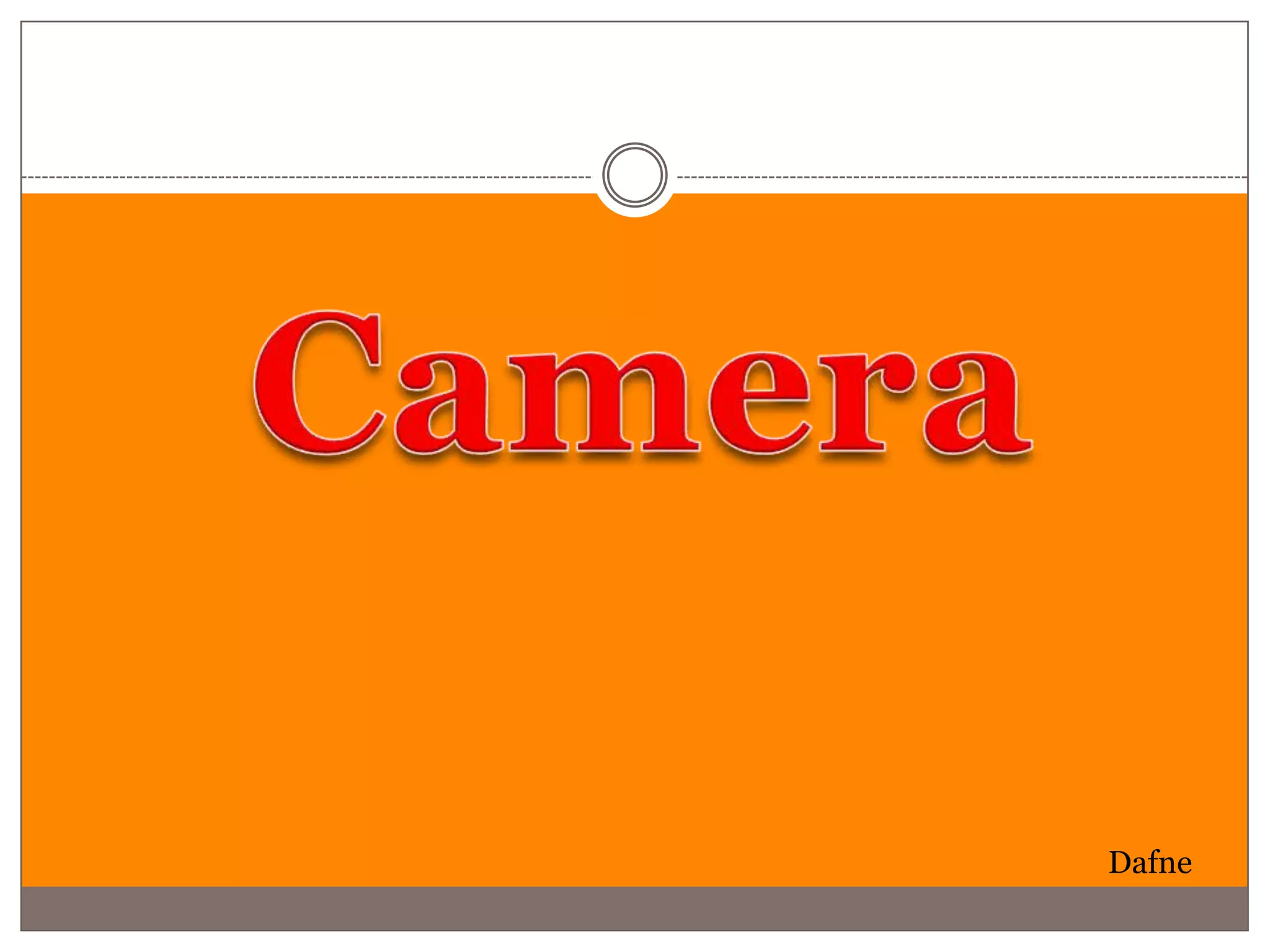 Dafne
 