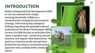 INTEGRATED PEST MANAGEMENT of rice Report Presentation | PPTX