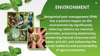 INTEGRATED PEST MANAGEMENT of rice Report Presentation | PPTX
